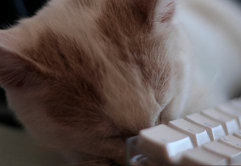 Keyboard / vía Flickr: Lastquest (Danirl Pieroni)